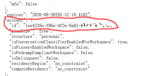 ChatGPT 会话接口中 account.id 字段位置示例